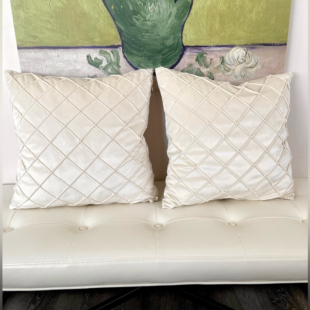 Set of 2 throw pillows 18x18